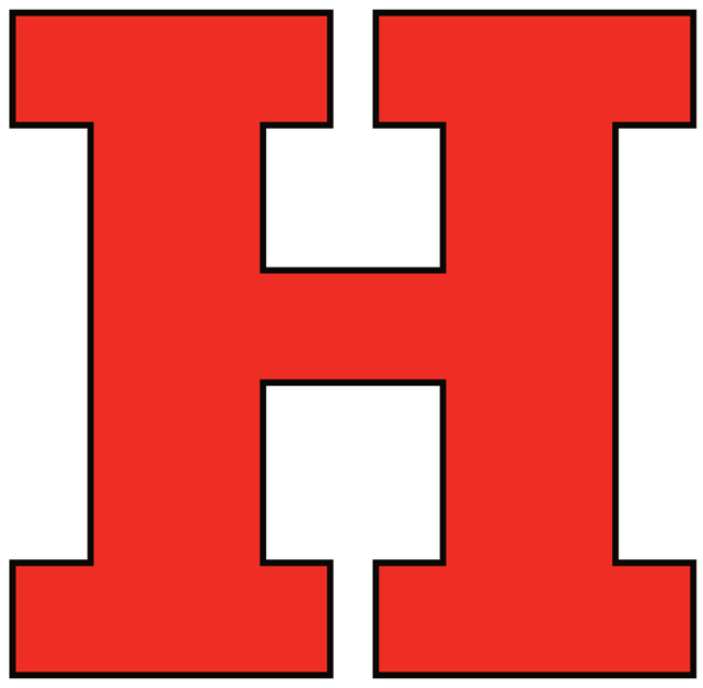 hartford hawks 1984-pres wordmark logo DIY iron on transfer (heat transfer) fabric transfer